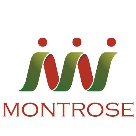Montrose International Group