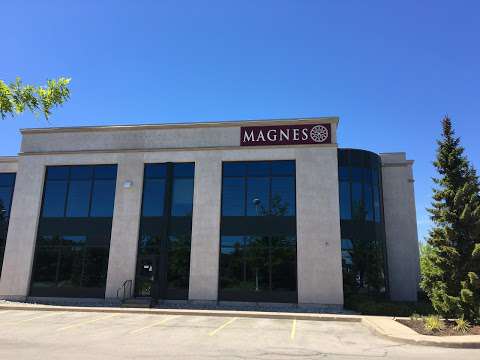 The Magnes Group Inc